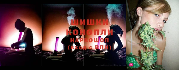 шишки Богородск