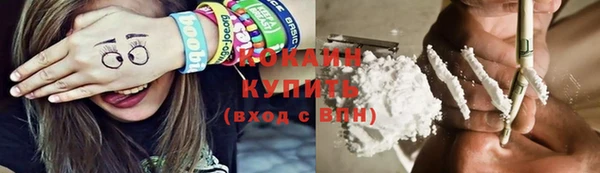 шишки Богородск