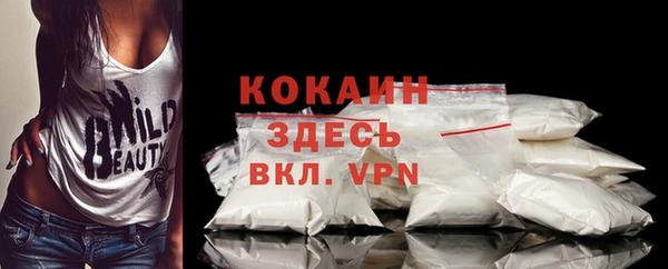 шишки Богородск