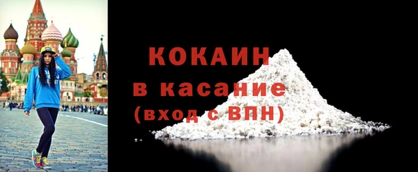 шишки Богородск