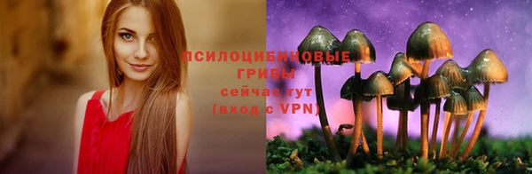 шишки Богородск