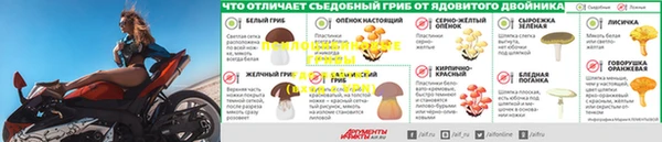 шишки Богородск