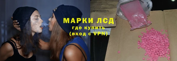 сатива Заводоуковск