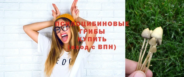 синтетический гашиш Белокуриха