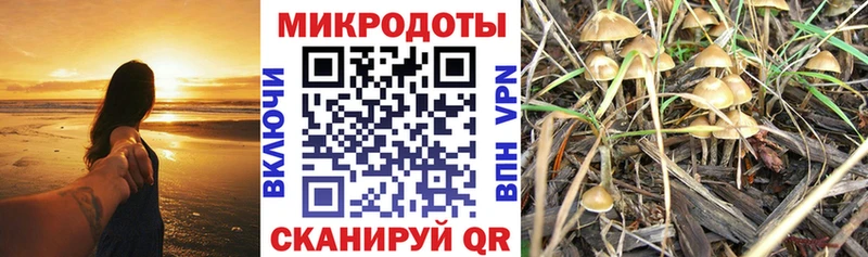 mega зеркало  Вельск  Псилоцибиновые грибы Psilocybe  даркнет сайт 