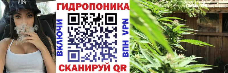 МАРИХУАНА SATIVA & INDICA  это как зайти  Вельск  как найти наркотики 